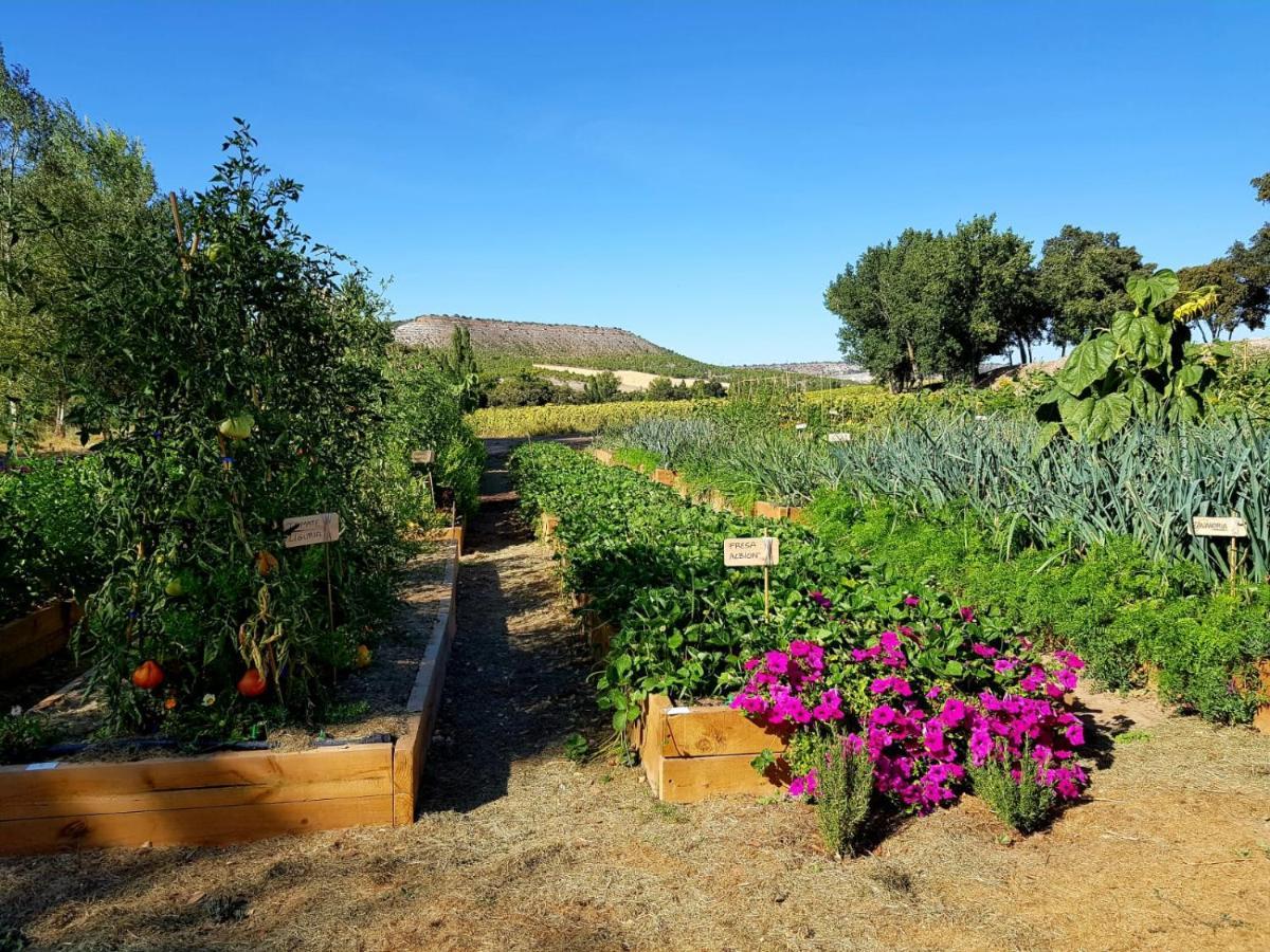 Abadia Retuerta Ledomaine Otel Sardon De Duero Dış mekan fotoğraf